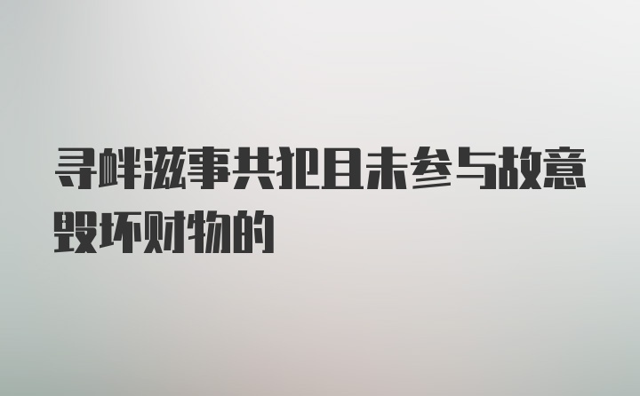 寻衅滋事共犯且未参与故意毁坏财物的