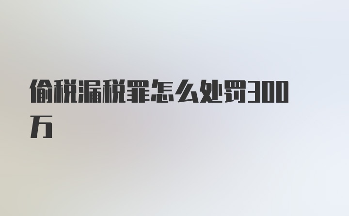 偷税漏税罪怎么处罚300万