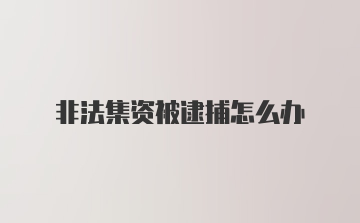 非法集资被逮捕怎么办