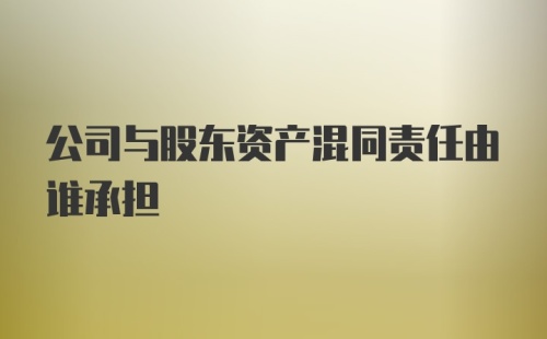 公司与股东资产混同责任由谁承担