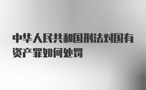 中华人民共和国刑法对国有资产罪如何处罚