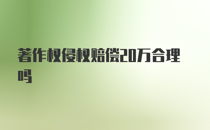 著作权侵权赔偿20万合理吗