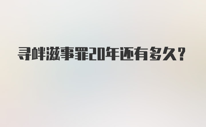 寻衅滋事罪20年还有多久？