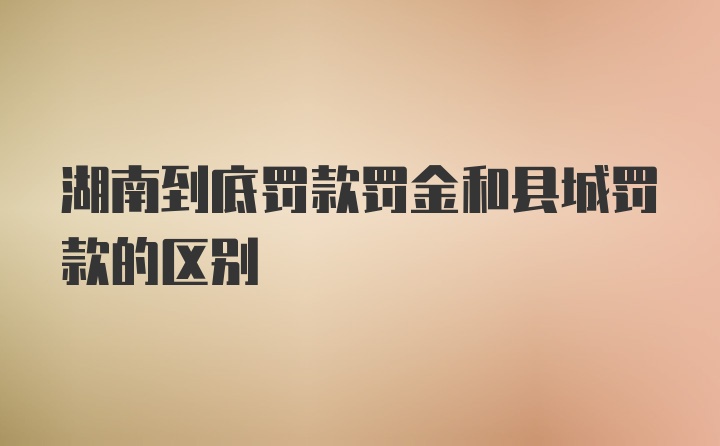 湖南到底罚款罚金和县城罚款的区别