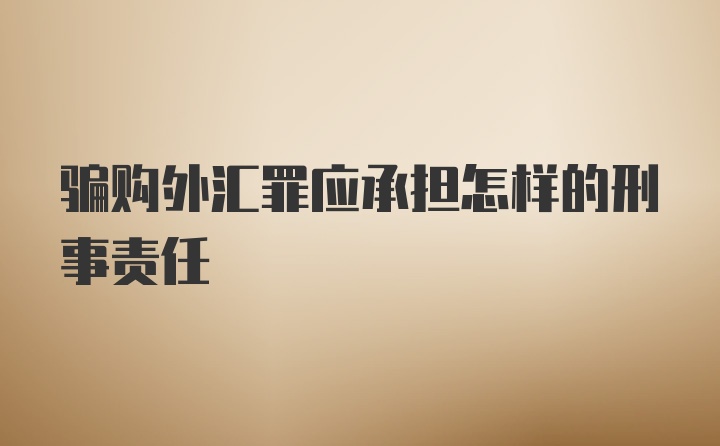 骗购外汇罪应承担怎样的刑事责任