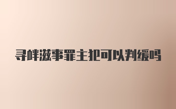 寻衅滋事罪主犯可以判缓吗