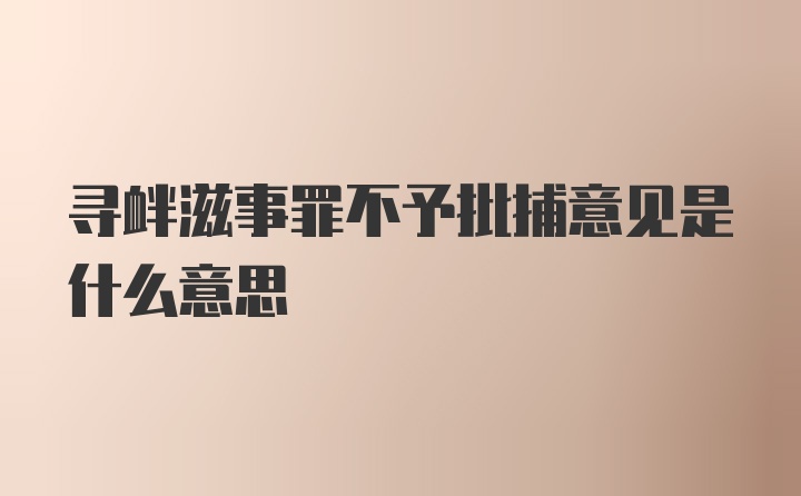 寻衅滋事罪不予批捕意见是什么意思