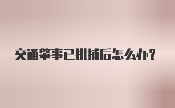 交通肇事已批捕后怎么办？