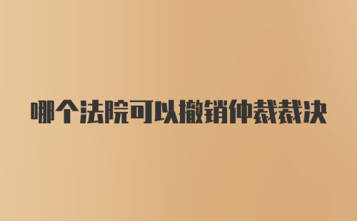 哪个法院可以撤销仲裁裁决