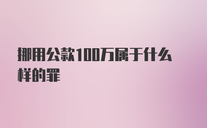 挪用公款100万属于什么样的罪