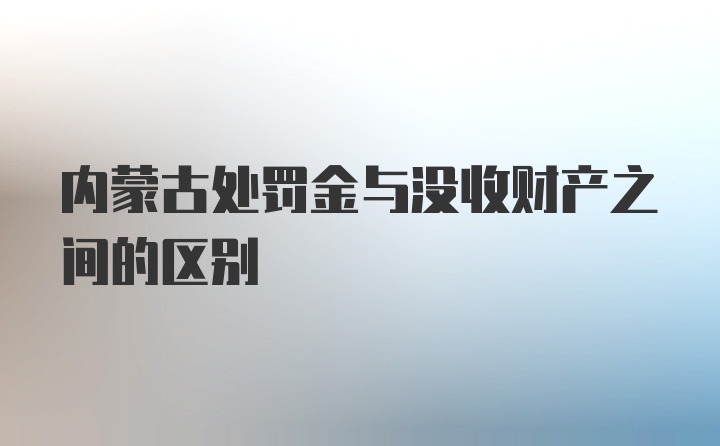 内蒙古处罚金与没收财产之间的区别