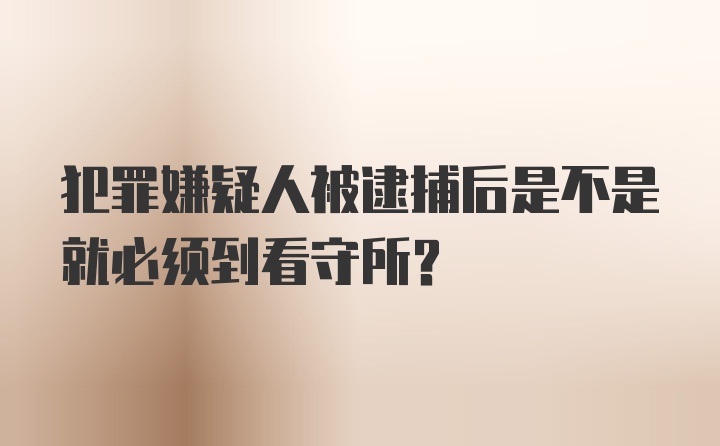 犯罪嫌疑人被逮捕后是不是就必须到看守所？