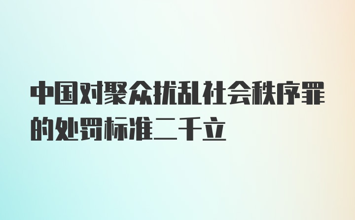 中国对聚众扰乱社会秩序罪的处罚标准二千立