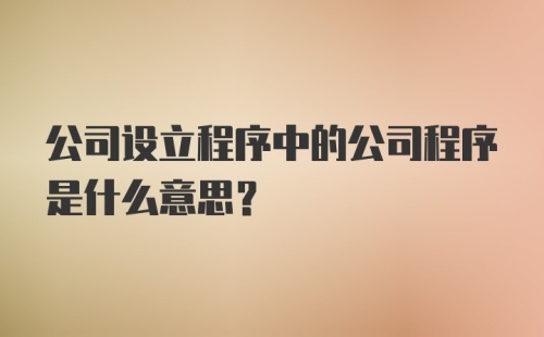 公司设立程序中的公司程序是什么意思?