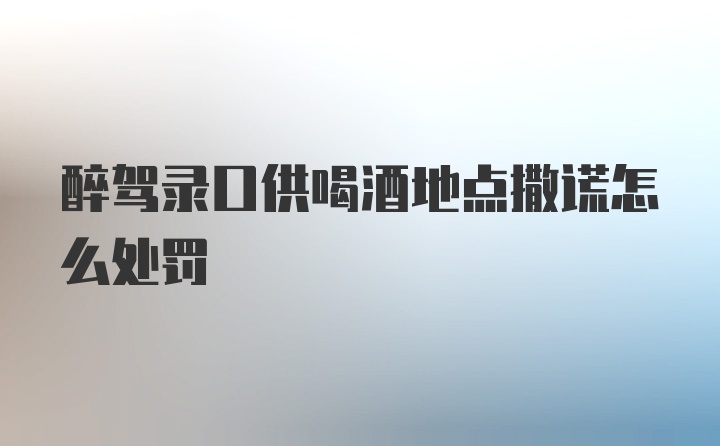 醉驾录口供喝酒地点撒谎怎么处罚