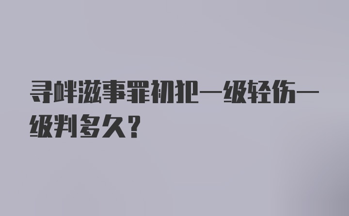 寻衅滋事罪初犯一级轻伤一级判多久?