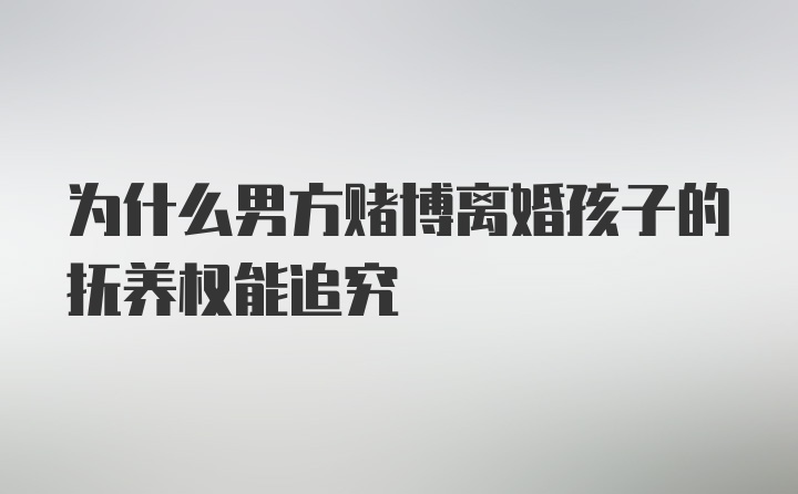 为什么男方赌博离婚孩子的抚养权能追究