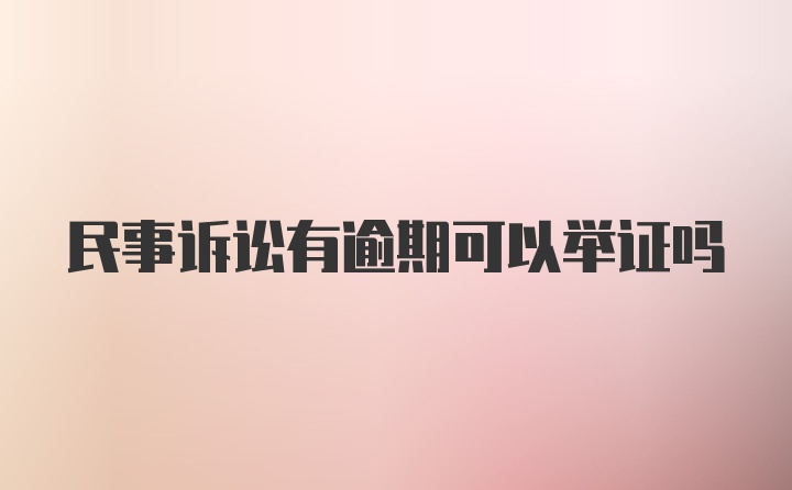 民事诉讼有逾期可以举证吗