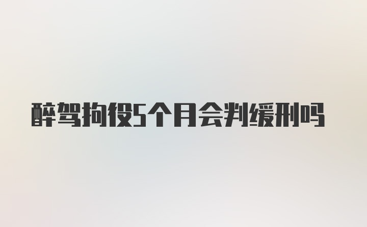 醉驾拘役5个月会判缓刑吗