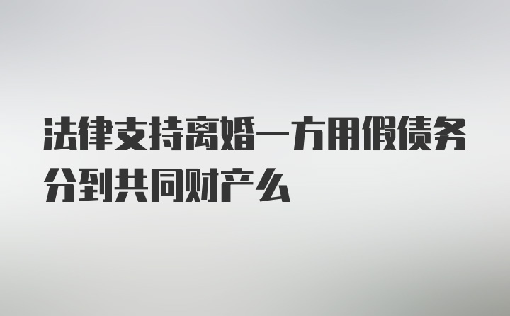 法律支持离婚一方用假债务分到共同财产么