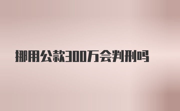 挪用公款300万会判刑吗