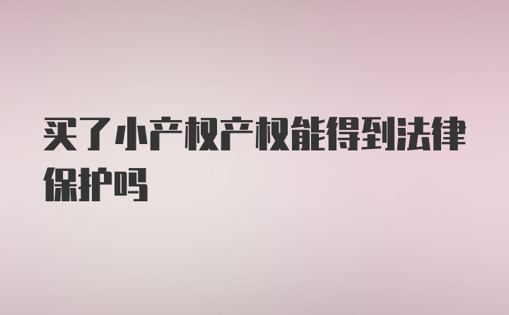 买了小产权产权能得到法律保护吗