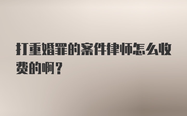 打重婚罪的案件律师怎么收费的啊？