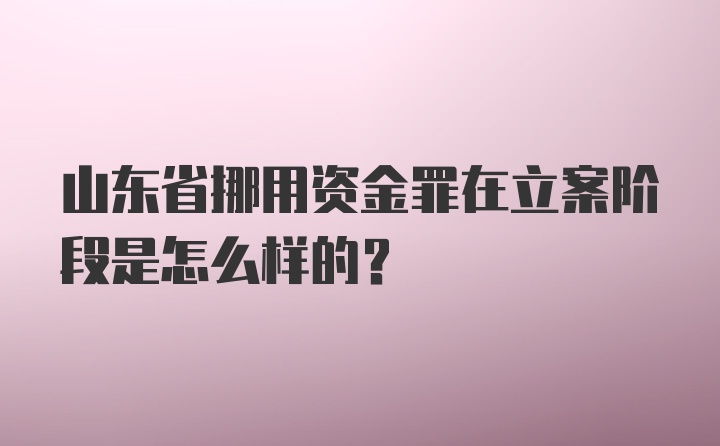 山东省挪用资金罪在立案阶段是怎么样的？