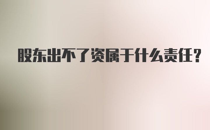 股东出不了资属于什么责任？