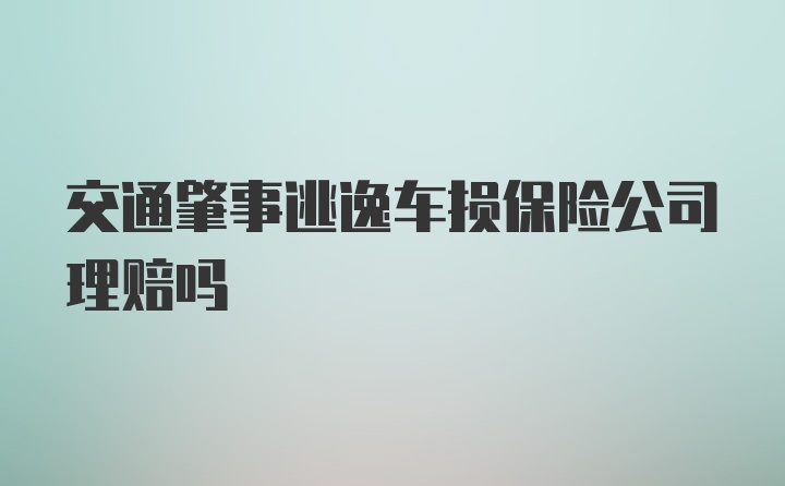 交通肇事逃逸车损保险公司理赔吗