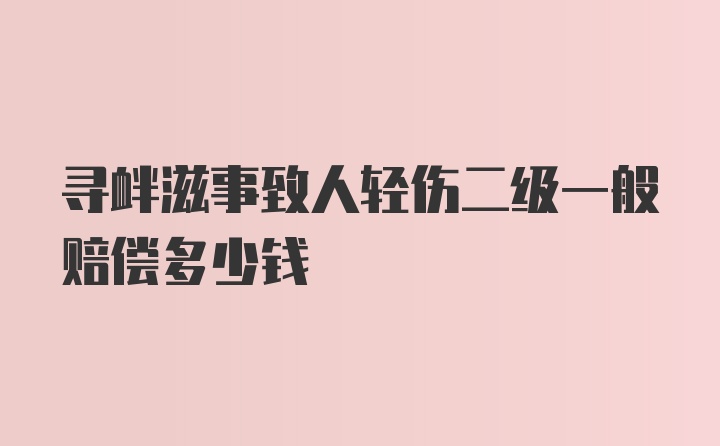 寻衅滋事致人轻伤二级一般赔偿多少钱