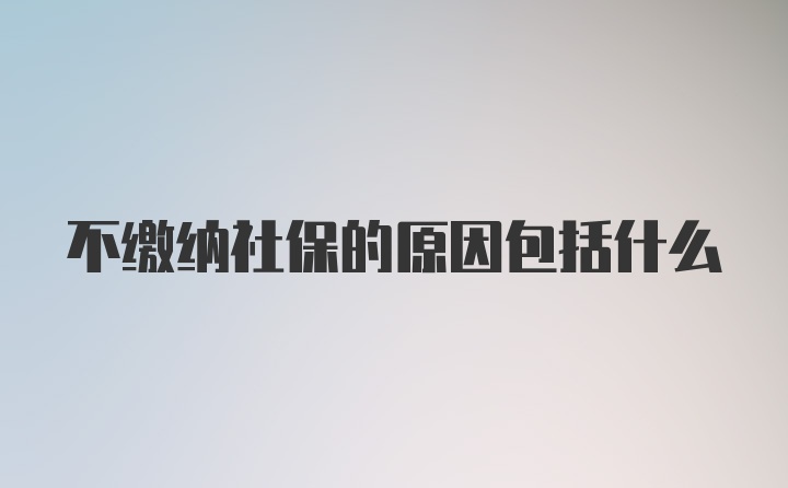 不缴纳社保的原因包括什么