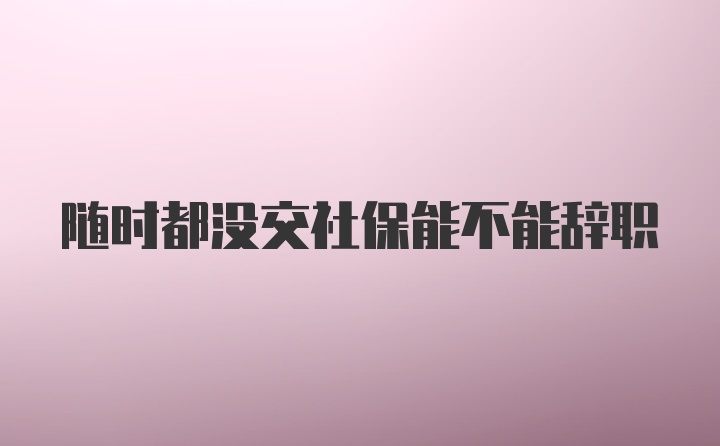 随时都没交社保能不能辞职