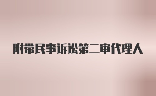 附带民事诉讼第二审代理人