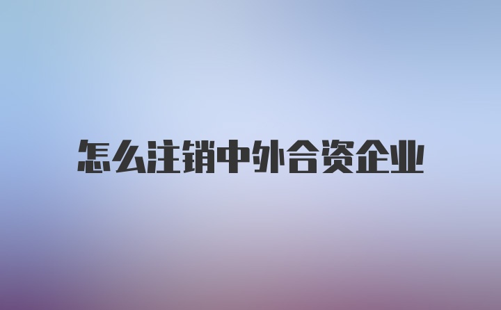 怎么注销中外合资企业