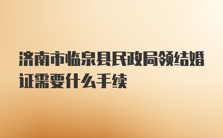 济南市临泉县民政局领结婚证需要什么手续