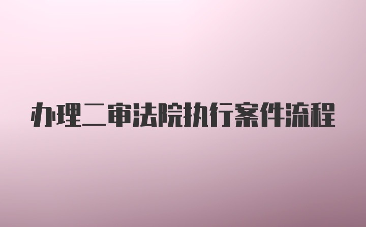 办理二审法院执行案件流程