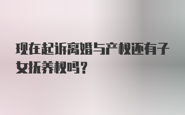 现在起诉离婚与产权还有子女抚养权吗？