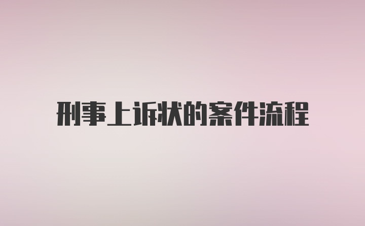 刑事上诉状的案件流程