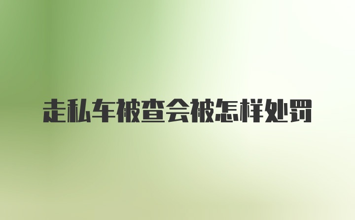 走私车被查会被怎样处罚