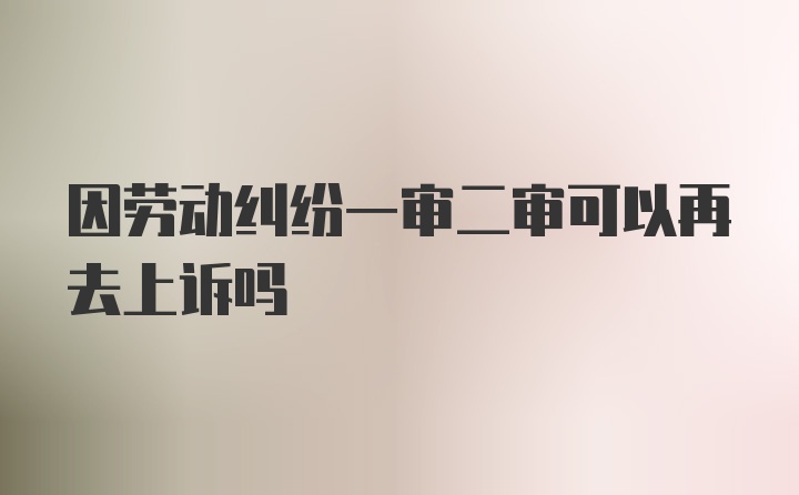 因劳动纠纷一审二审可以再去上诉吗