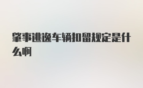 肇事逃逸车辆扣留规定是什么啊