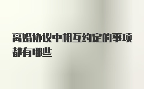 离婚协议中相互约定的事项都有哪些