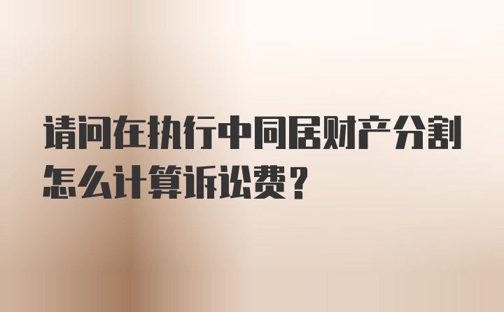 请问在执行中同居财产分割怎么计算诉讼费？