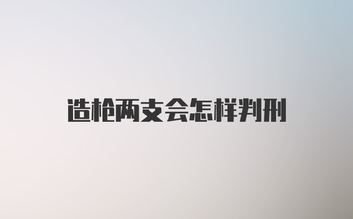 造枪两支会怎样判刑