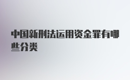 中国新刑法运用资金罪有哪些分类