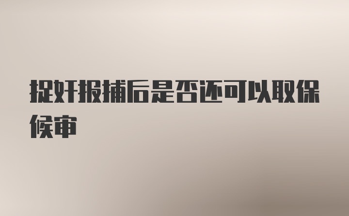 捉奸报捕后是否还可以取保候审