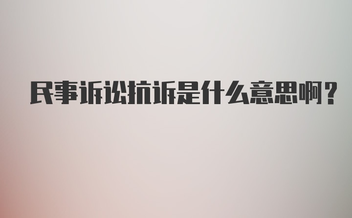 民事诉讼抗诉是什么意思啊？