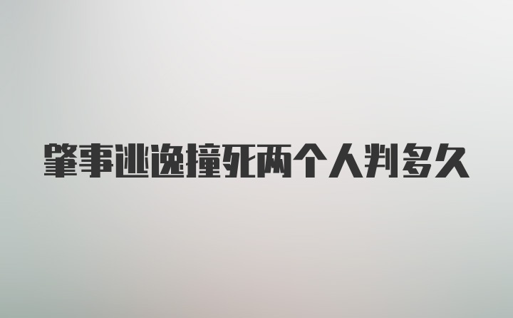 肇事逃逸撞死两个人判多久