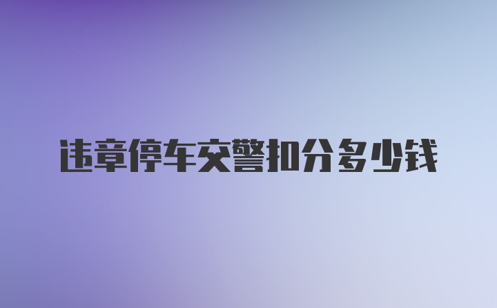 违章停车交警扣分多少钱